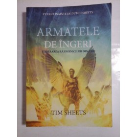 ARMATELE DE INGERI - TIM SHEETS
